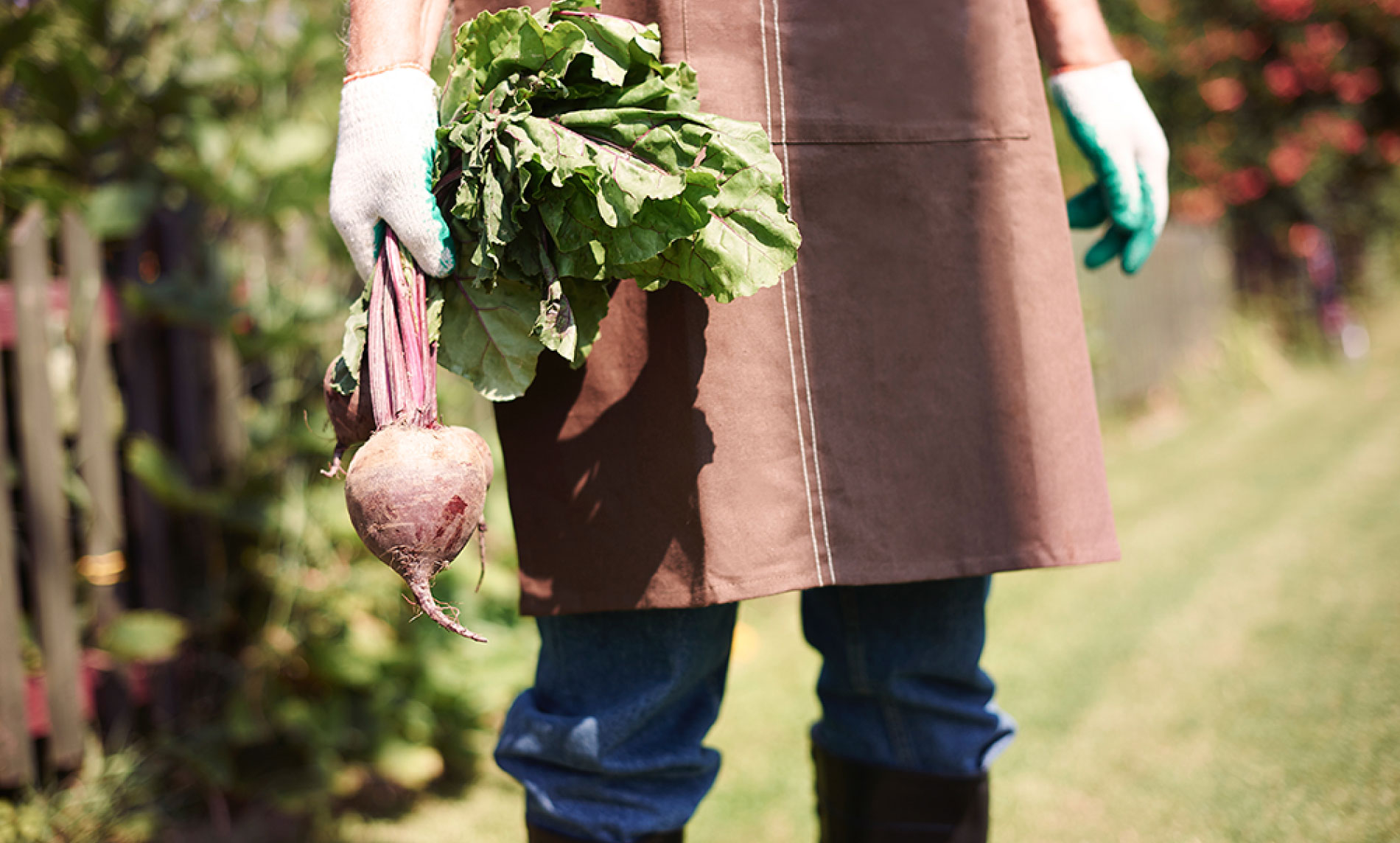 Make Your Home Like Garden